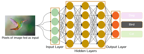 apa itu Convolutional Neural Network