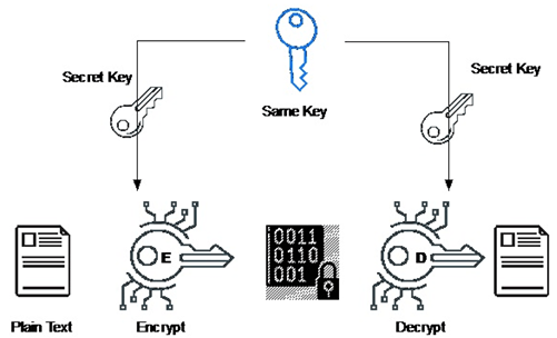 apa itu algoritma elgamal